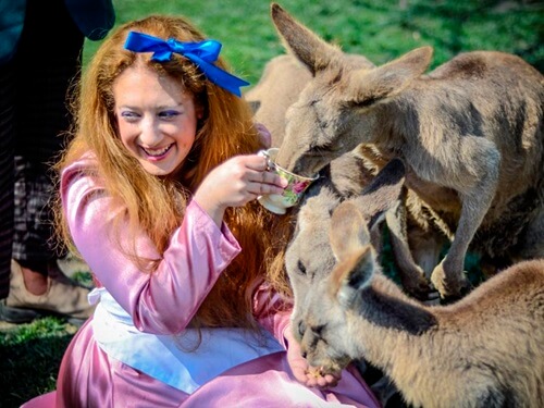 גן גורו ניר דוד